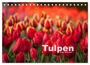 Tulpen (Tischkalender 2024 DIN A5 quer), CALVENDO Monatskalender von Schickert,  Peter