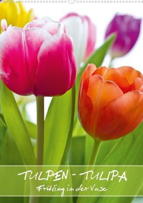 Tulpen – Tulipa (Posterbuch DIN A2 hoch) von Evermann Photography,  Gerd