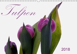 Tulpen (Wandkalender 2018 DIN A3 quer) von SchnelleWelten