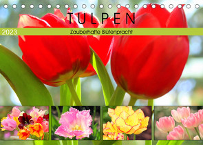 Tulpen. Zauberhafte Blütenpracht (Tischkalender 2023 DIN A5 quer) von Hurley,  Rose