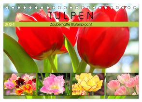 Tulpen. Zauberhafte Blütenpracht (Tischkalender 2024 DIN A5 quer), CALVENDO Monatskalender von Hurley,  Rose