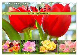 Tulpen. Zauberhafte Blütenpracht (Wandkalender 2024 DIN A4 quer), CALVENDO Monatskalender von Hurley,  Rose