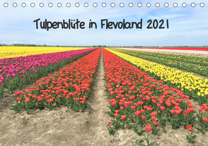 Tulpenblüte in Flevoland 2021 (Tischkalender 2021 DIN A5 quer) von Konkel,  Christine