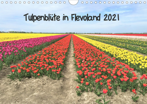 Tulpenblüte in Flevoland 2021 (Wandkalender 2021 DIN A4 quer) von Konkel,  Christine