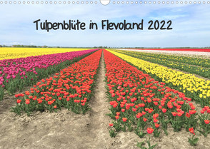 Tulpenblüte in Flevoland 2022 (Wandkalender 2022 DIN A3 quer) von Konkel,  Christine