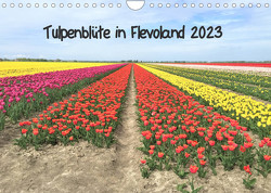 Tulpenblüte in Flevoland 2023 (Wandkalender 2023 DIN A4 quer) von Konkel,  Christine