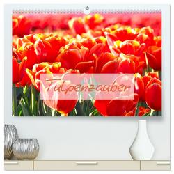 Tulpenzauber (hochwertiger Premium Wandkalender 2024 DIN A2 quer), Kunstdruck in Hochglanz von Meyer©Stimmungsbilder1,  Marion