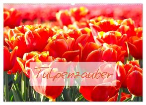 Tulpenzauber (Wandkalender 2024 DIN A2 quer), CALVENDO Monatskalender von Meyer©Stimmungsbilder1,  Marion