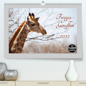 Twigas – Giraffen (Premium, hochwertiger DIN A2 Wandkalender 2022, Kunstdruck in Hochglanz) von und Holger Karius,  Kirsten