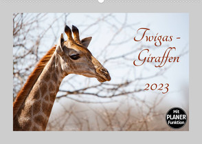 Twigas – Giraffen (Wandkalender 2023 DIN A2 quer) von und Holger Karius,  Kirsten