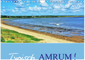 Typisch Amrum! (Wandkalender 2022 DIN A4 quer) von Heußlein,  Jutta