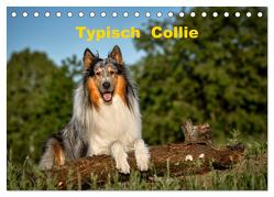 Typisch Collie (Tischkalender 2024 DIN A5 quer), CALVENDO Monatskalender von Janetzek,  Yvonne Typisch Collie (Tischkalender 2024 DIN A5 quer), CALVENDO Monatskalender von Janetzek,  Yvonne