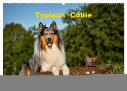 Typisch Collie (Wandkalender 2024 DIN A2 quer), CALVENDO Monatskalender von Janetzek,  Yvonne