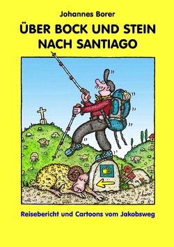 ÜBER BOCK UND STEIN NACH SANTIAGO von Borer,  Johannes