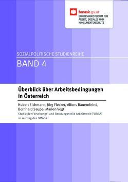 Überblick über Arbeitsbedingungen in Österreich von Bauernfeind,  Alfons, Eichmann,  Hubert, Flecker,  Jörg, Saupe,  Bernhard, Vogt,  Marion