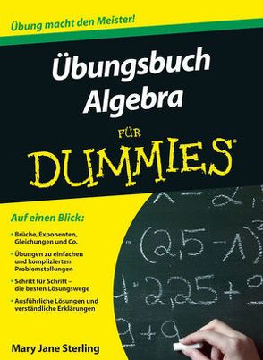 Übungsbuch Algebra für Dummies von Sterling,  Mary Jane, Winkelmann,  Alfons