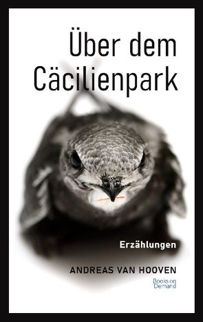 Über dem Cäcilienpark von van Hooven,  Andreas