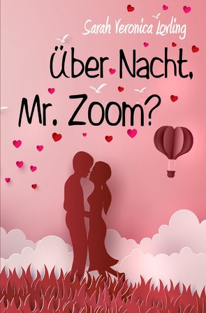 Über Nacht, Mr. Zoom? von Lovling,  Sarah Veronica