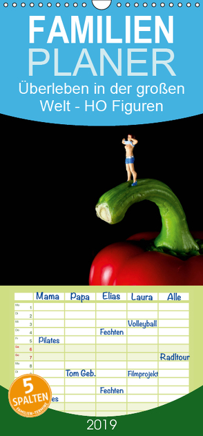 Überleben in der großen Welt – HO Figuren – Familienplaner hoch (Wandkalender 2019 , 21 cm x 45 cm, hoch) von Rochow,  Holger
