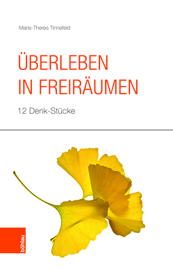 Überleben in Freiräumen von Schmale,  Wolfgang, Tinnefeld,  Marie-Theres