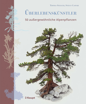 Überlebenskünstler von Caspari,  Stefan, Schauer,  Thomas