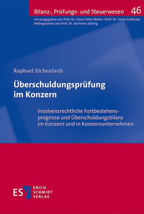 Überschuldungsprüfung im Konzern von Eichenlaub,  Raphael