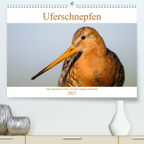 Uferschnepfen – Die eleganten Vögel mit dem langen Schnabel (Premium, hochwertiger DIN A2 Wandkalender 2023, Kunstdruck in Hochglanz) von Wermter,  Christof