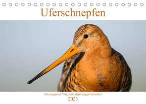 Uferschnepfen – Die eleganten Vögel mit dem langen Schnabel (Tischkalender 2023 DIN A5 quer) von Wermter,  Christof