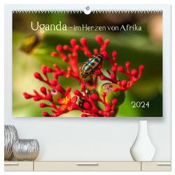 Uganda – im Herzen von Afrika (hochwertiger Premium Wandkalender 2024 DIN A2 quer), Kunstdruck in Hochglanz von Bethke,  Barbara