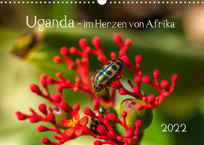 Uganda – im Herzen von Afrika (Wandkalender 2022 DIN A3 quer) von Bethke,  Barbara