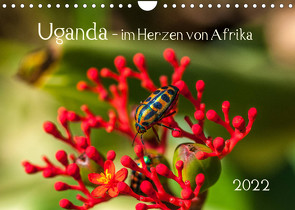 Uganda – im Herzen von Afrika (Wandkalender 2022 DIN A4 quer) von Bethke,  Barbara