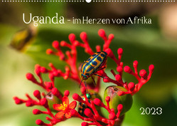 Uganda – im Herzen von Afrika (Wandkalender 2023 DIN A2 quer) von Bethke,  Barbara