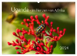 Uganda – im Herzen von Afrika (Wandkalender 2024 DIN A2 quer), CALVENDO Monatskalender von Bethke,  Barbara