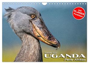 UGANDA – Perle Afrikas (Wandkalender 2024 DIN A4 quer), CALVENDO Monatskalender von Guni,  Günter