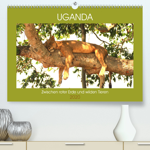 Uganda Zwischen roter Erde und wilden Tieren (Premium, hochwertiger DIN A2 Wandkalender 2020, Kunstdruck in Hochglanz) von Sandra Eyckelpasch,  eickys