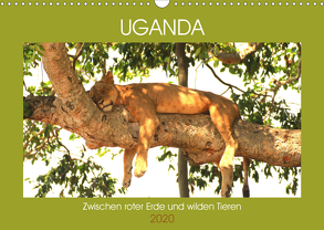 Uganda Zwischen roter Erde und wilden Tieren (Wandkalender 2020 DIN A3 quer) von Sandra Eyckelpasch,  eickys