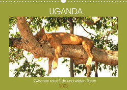 Uganda Zwischen roter Erde und wilden Tieren (Wandkalender 2022 DIN A3 quer) von Sandra Eyckelpasch,  eickys