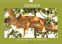 Uganda Zwischen roter Erde und wilden Tieren (Wandkalender 2022 DIN A4 quer) von Sandra Eyckelpasch,  eickys