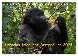 Ugandas friedliche Berggorillas (Tischkalender 2024 DIN A5 quer), CALVENDO Monatskalender von Krause,  Johanna