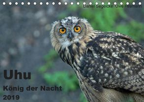 Uhu – König der Nacht (Tischkalender 2019 DIN A5 quer) von Hilsmann,  Uwe, Segelcke,  Daniel