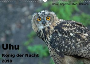 Uhu – König der Nacht (Wandkalender 2018 DIN A3 quer) von Hilsmann,  Uwe, Segelcke,  Daniel