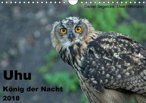 Uhu – König der Nacht (Wandkalender 2018 DIN A4 quer) von Hilsmann,  Uwe, Segelcke,  Daniel