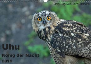 Uhu – König der Nacht (Wandkalender 2019 DIN A3 quer) von Hilsmann,  Uwe, Segelcke,  Daniel