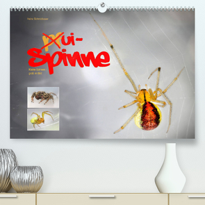 ui – Spinne. Kleine Spinnen – groß im Bild (Premium, hochwertiger DIN A2 Wandkalender 2022, Kunstdruck in Hochglanz) von Schmidbauer,  Heinz