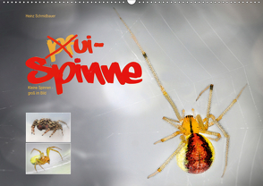 ui – Spinne. Kleine Spinnen – groß im Bild (Wandkalender 2021 DIN A2 quer) von Schmidbauer,  Heinz