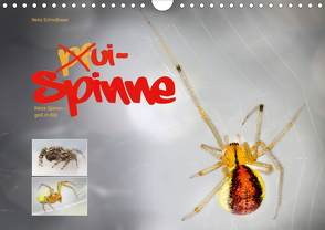 ui – Spinne. Kleine Spinnen – groß im Bild (Wandkalender 2021 DIN A4 quer) von Schmidbauer,  Heinz