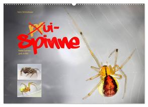 ui – Spinne. Kleine Spinnen – groß im Bild (Wandkalender 2024 DIN A2 quer), CALVENDO Monatskalender von Schmidbauer,  Heinz