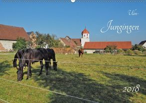 Ulm – Jungingen (Wandkalender 2018 DIN A2 quer) von Rohwer,  Klaus