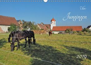 Ulm – Jungingen (Wandkalender 2019 DIN A3 quer) von Rohwer,  Klaus