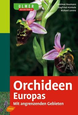 Ulmer Naturführer Orchideen Europas von Baumann,  Helmut, Künkele,  Siegfried, Lorenz,  Richard